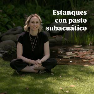 Image post by @fernandarionda on Instagram