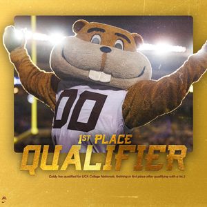 Image post by @goldythegopher on Instagram