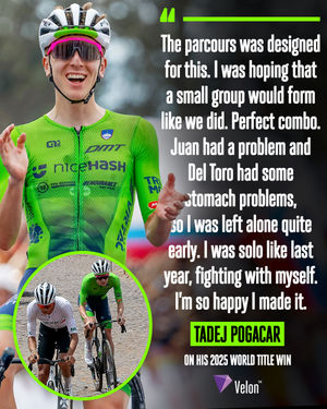 Image post by @veloncc on Instagram