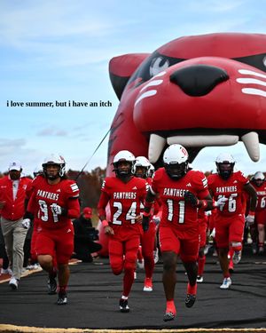 Image post by @duathletics on Instagram