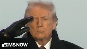 Video post by @msnbc on YouTube