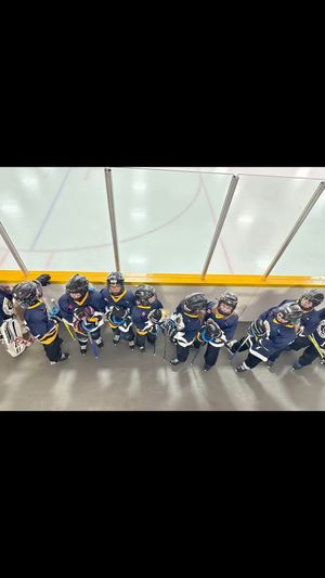 Video post by @muskokaroyals on Facebook