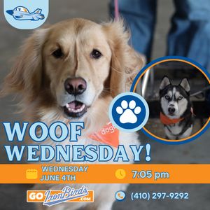 Image post by @aberdeenironbirds on Instagram