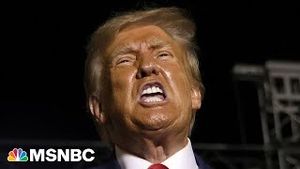 Video post by @msnbc on YouTube