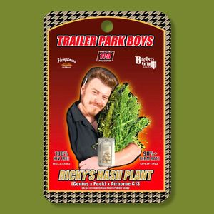 Image post by @trailerparkboysofficial on Instagram