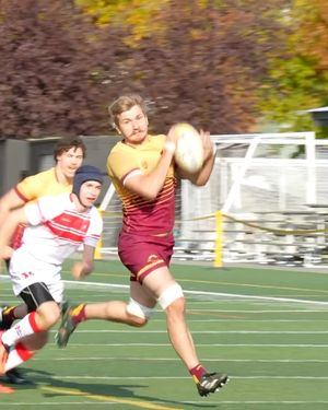 Image post by @the_stingers on Instagram