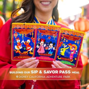 Image post by @disneylandmagickey on Instagram
