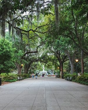 Image post by @wandernorthga on Instagram