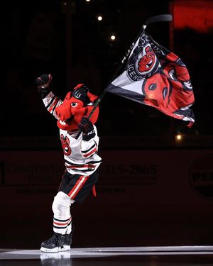 Image post by @rockfordicehogs on Instagram