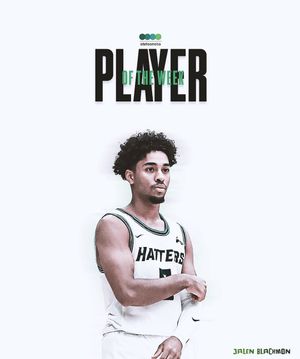 Image post by @sbastetsonu on Instagram