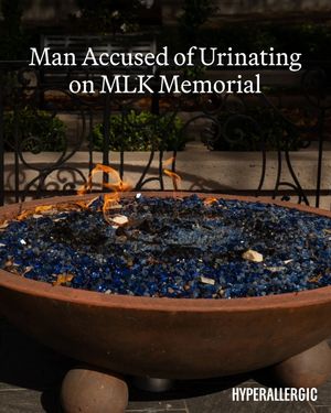 Image post by @hyperallergic on Instagram