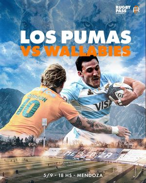 Image post by @rugbypass_es on Instagram