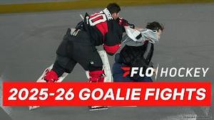 Video post by @flohockey on YouTube