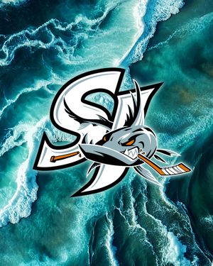 Image post by @sjbarracuda on Instagram