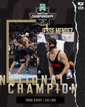 Image post by @usawrestling on Instagram