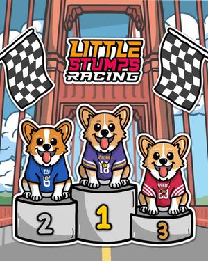 Image post by @littlestumpsracing1 on Facebook