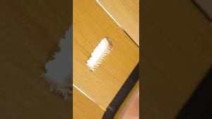 Video post by @dji on YouTube