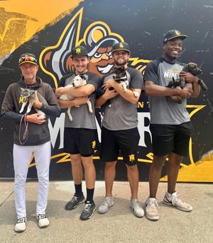 Image post by @sussexcountyminers on Instagram