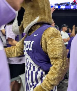 Image post by @gcu_lopes on Instagram