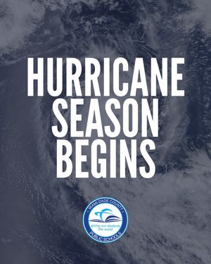 Image post by @miamischools on Instagram