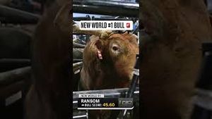Video post by @pbr on YouTube