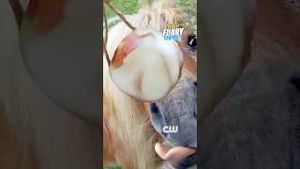 Video post by @thecw on YouTube