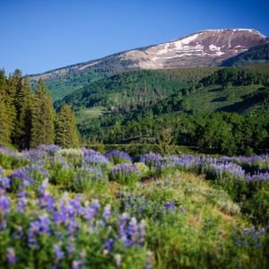 Image post by @skicrestedbutte on Instagram
