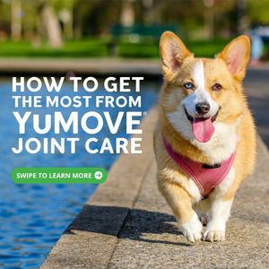 Image post by @yumove_usa on Instagram
