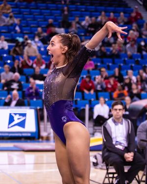Image post by @uwgymnastics on Instagram