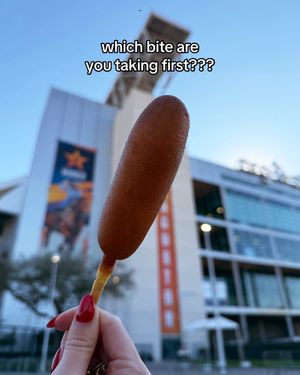 Video post by @rodeohouston on TikTok