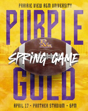 Image post by @pvamu on Instagram
