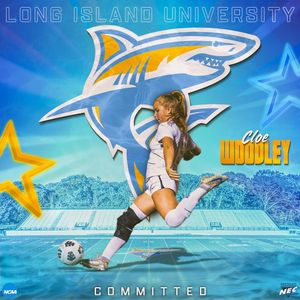 Image post by @jbissgraphics on Instagram