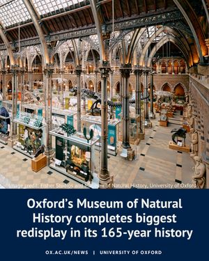 Image post by @oxford_uni on Instagram