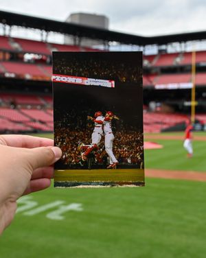Image post by @cardinals on Instagram