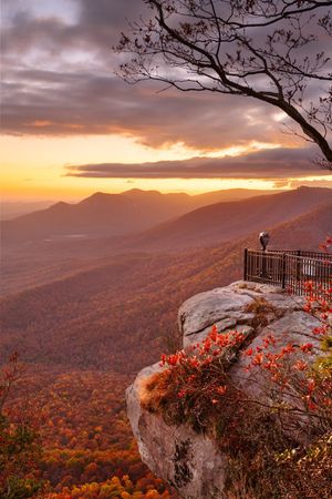 Image post by @embassysuitesgvilledt on Instagram