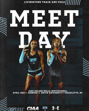 Image post by @bluebearathletics on Instagram
