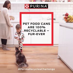 Image post by @purina on Instagram