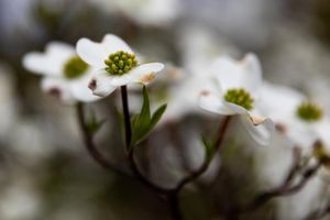 Image post by @Jshfoto on Facebook