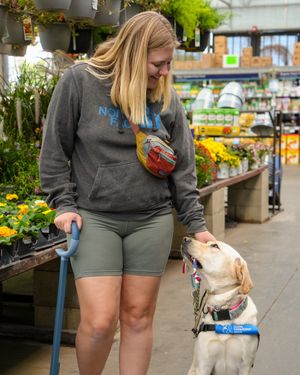 Image post by @canineorg on Instagram