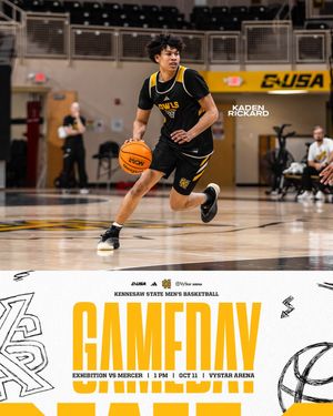 Image post by @ksuowlsmbb on Instagram