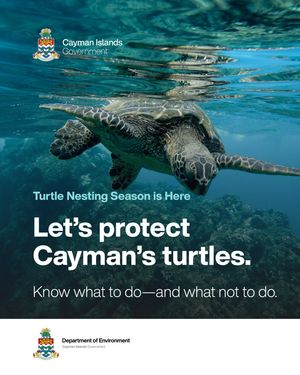Image post by @caymangov on Instagram