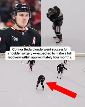 Video post by @espnnhl on TikTok