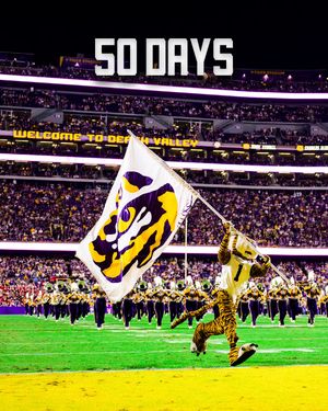 Video post by @lsufbtigers on TikTok