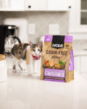 Image post by @evolvepetfood on Instagram