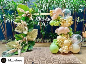 Image post by @baloesfestball on Instagram