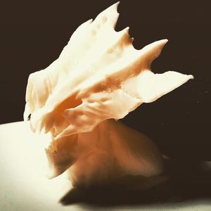 Image post by @digitaltechart on Instagram
