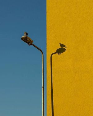 Image post by @fubiz on Instagram