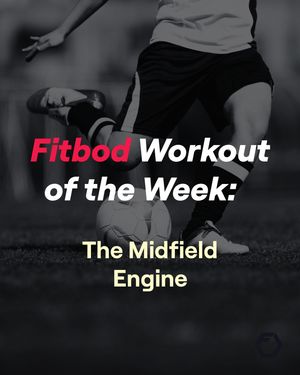 Image post by @fitbodapp on Instagram