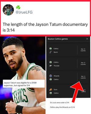 Video post by @whistle on TikTok