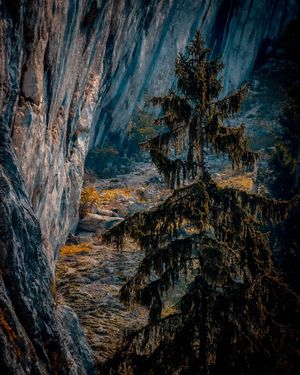 Image post by @cristan.nature.photography on Instagram